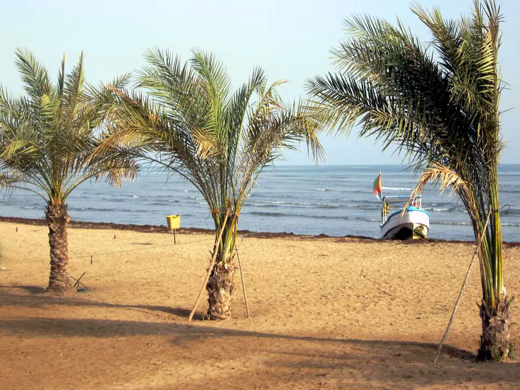 Palm trees leaning over a quiet sandy beach at Gurgussum, north of Massawa, with the Red Sea flat and blue behind